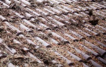 Pontdolgoch roof cleaning companies