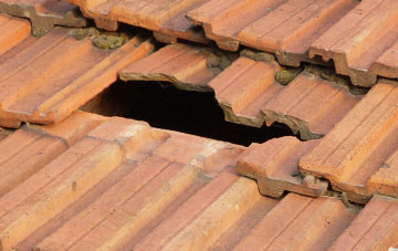 roof repair Pontdolgoch, Powys