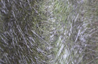 Pontdolgoch fibreglass roof work