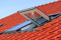 Pontdolgoch roof window